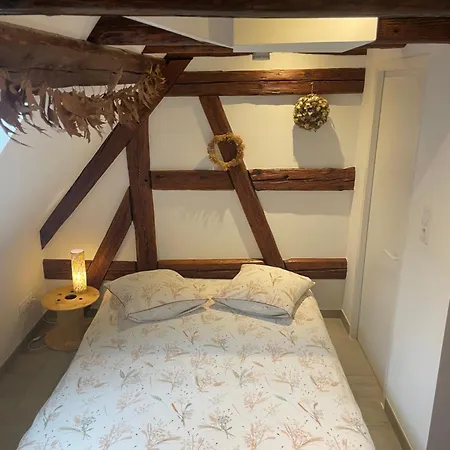 Le Coeur D'alsace 2 A 6 Pers A 5 Min De Ribeauville * Guémar