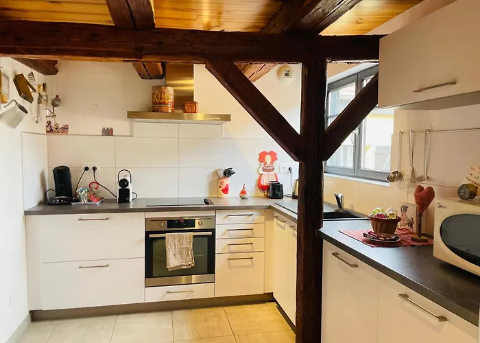 Le Coeur D'alsace 2 A 6 Pers A 5 Min De Ribeauville