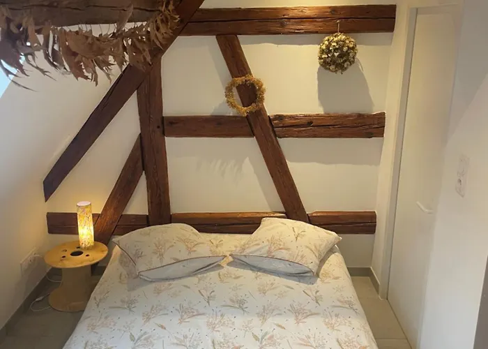 Le Coeur D'alsace 2 A 6 Pers A 5 Min De Ribeauville * Guémar